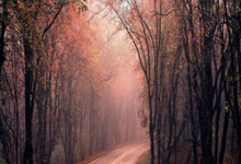 [德甲]第8轮：科隆3-1门兴格拉德巴赫 集锦.