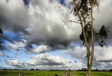 一整个美住!陈梦晒近期生活照 街头漫步气质太好了.