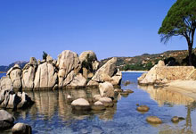 NG体育官网：官方：劳塔罗腿筋受伤退出阿根廷名单，无缘出战巴西&乌拉圭.